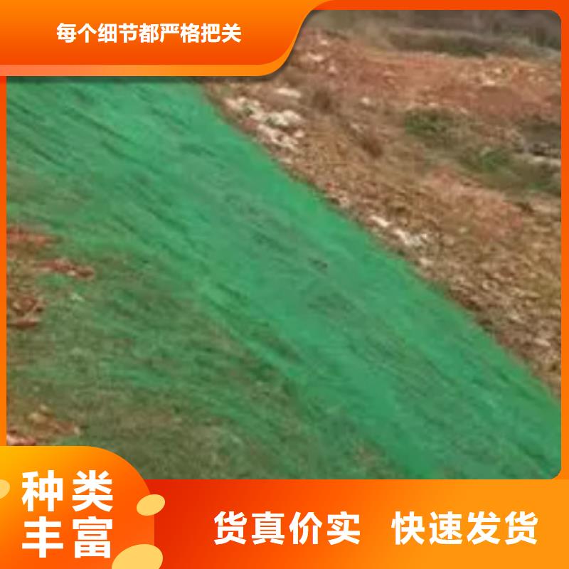 三维植被网排水板从源头保证品质