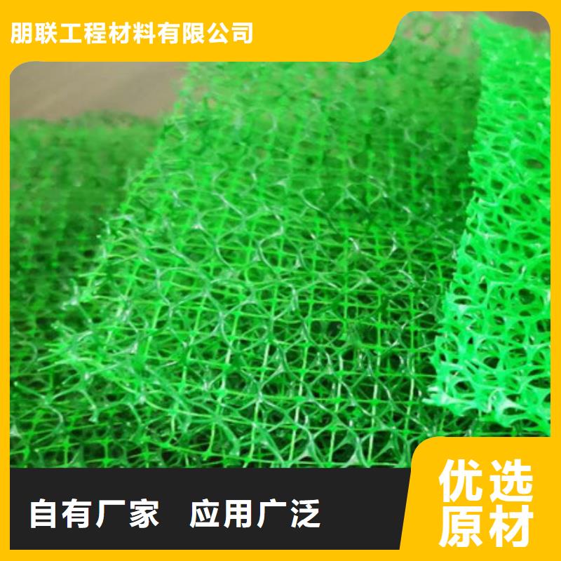 三维植被网植草格真实拍摄品质可靠