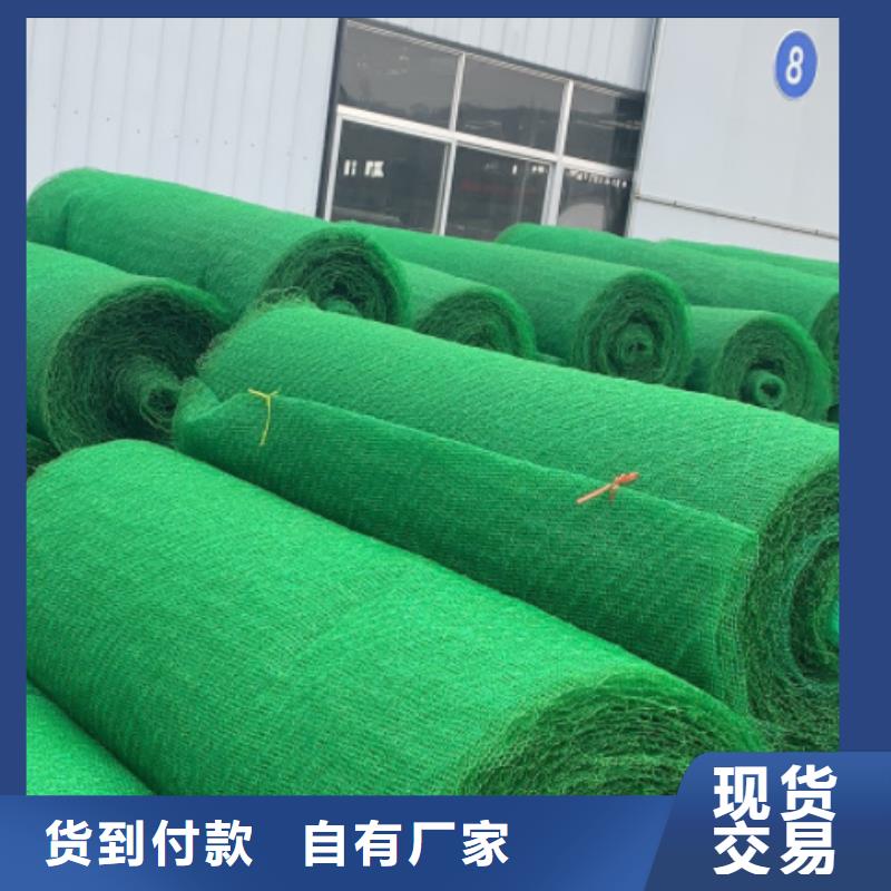 三维植被网,植草格多种优势放心选择