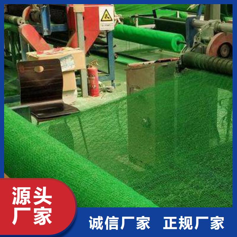 三维植被网车库虹吸排水系统精心
