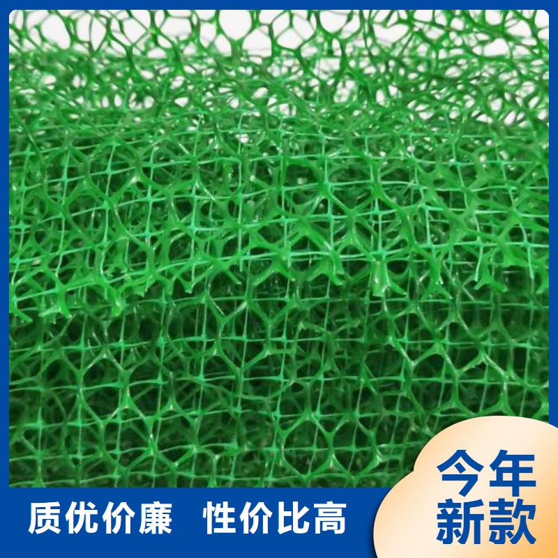 三维植被网植草格匠心打造