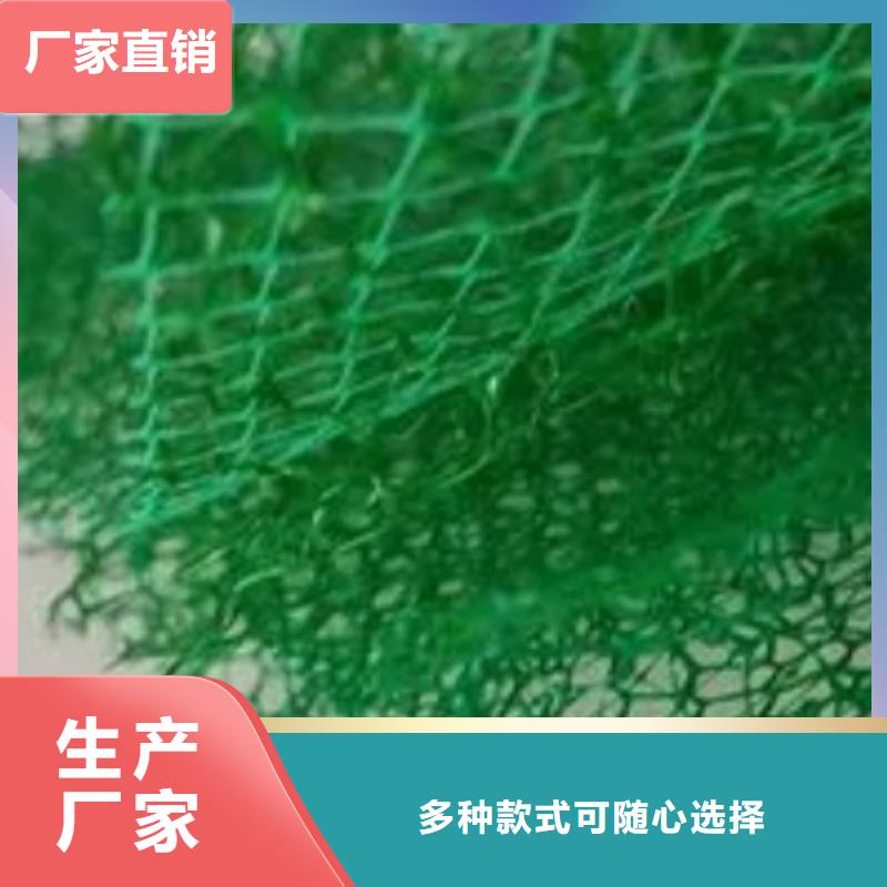 三维植被网排水板老客户钟爱