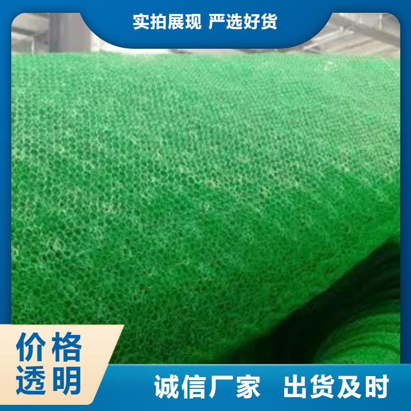 三维植被网,植草格品质商家