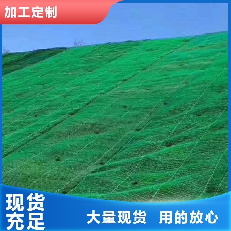 三维植被网化粪池水泥质量无忧