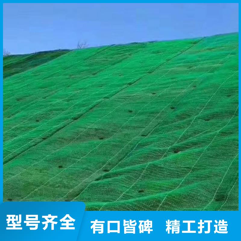 三维植被网防护虹吸排水收集系统现货批发
