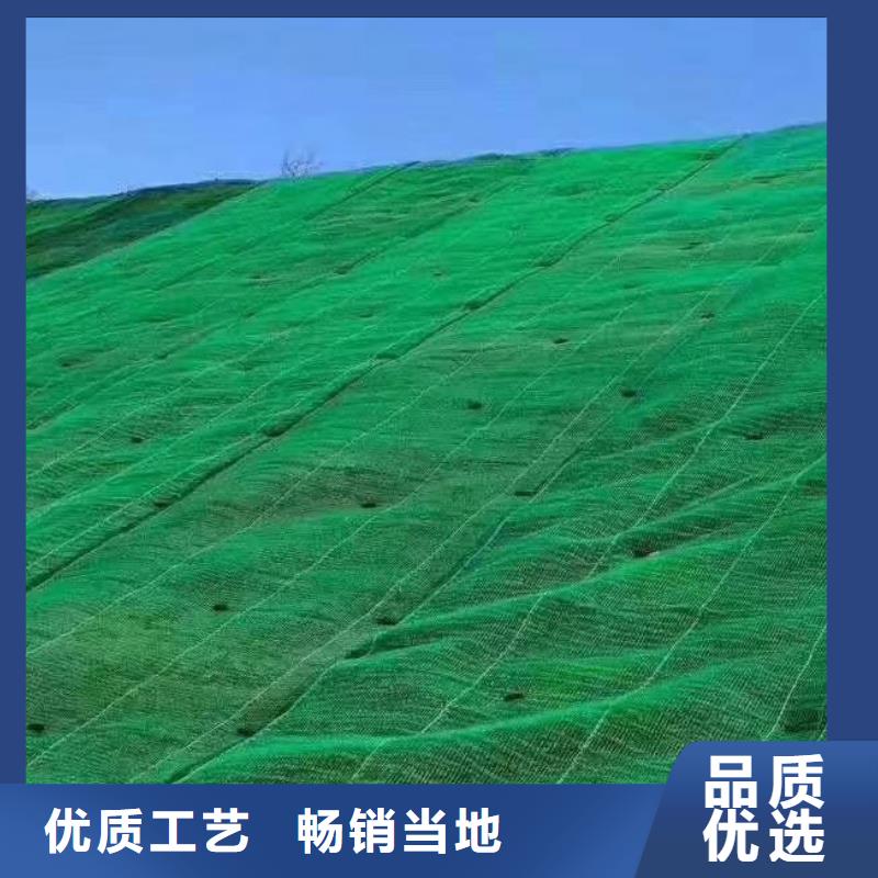 三维植被网,植草格工厂直供