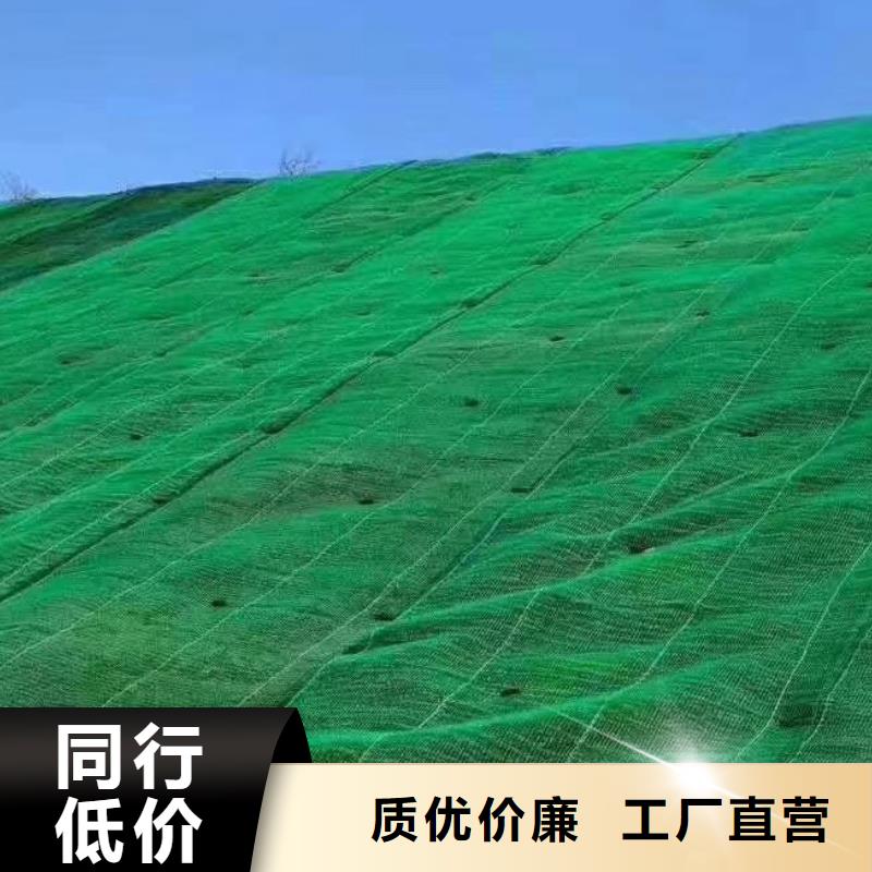 三维植被网,植草格品质商家