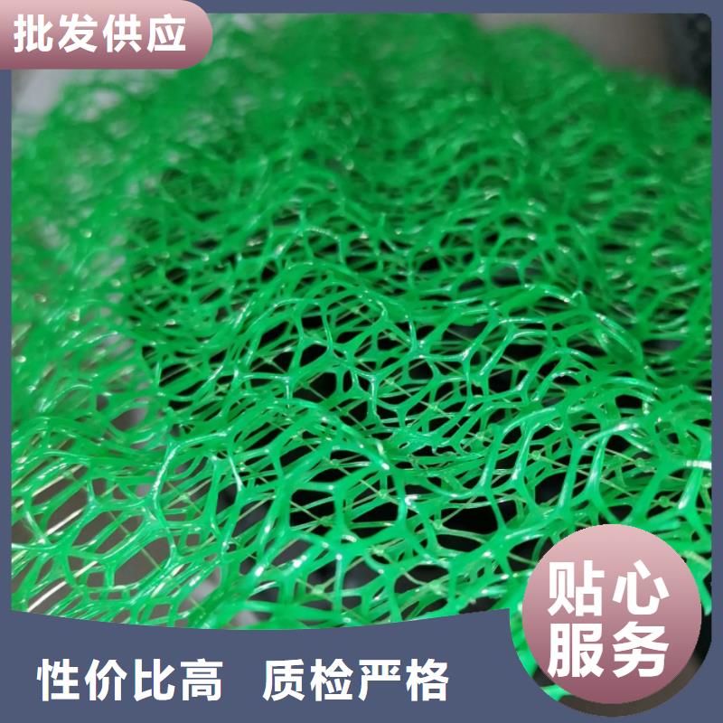 三维植被网车库虹吸排水系统精心