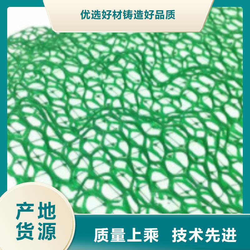 三维植被网水泥化粪池支持定制加工