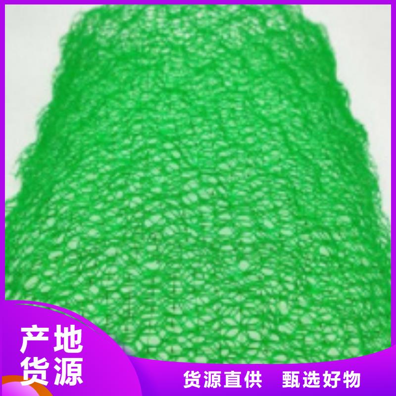 三维植被网-化粪池水泥产品优势特点