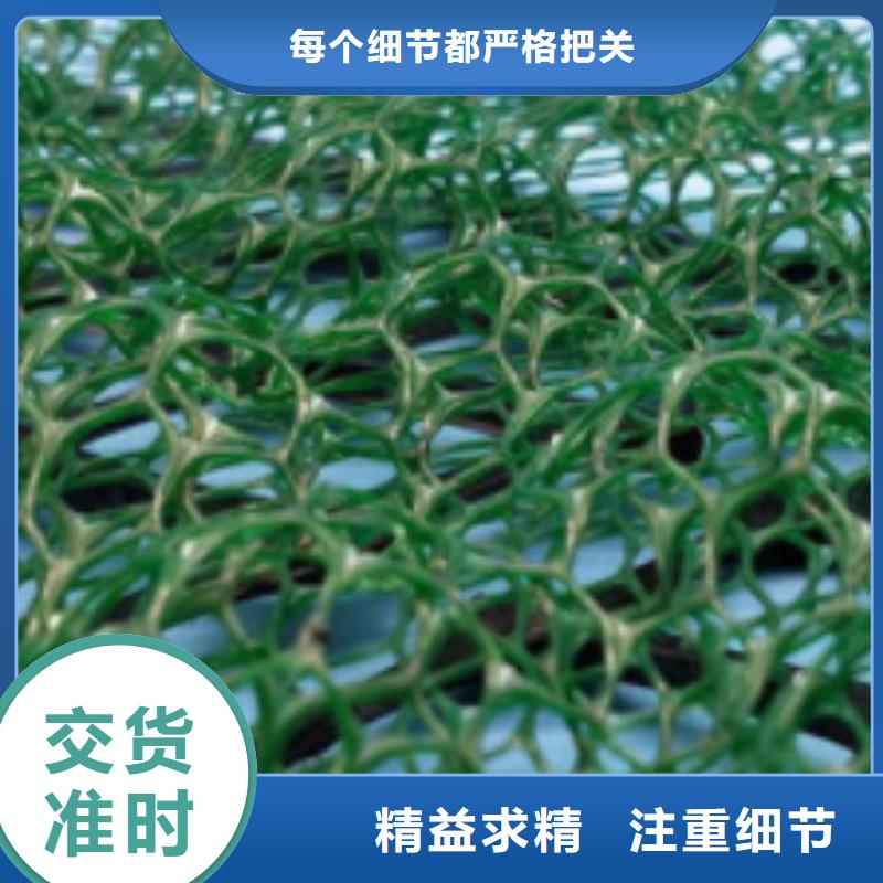 【 三维植被网排水板厂家直营】覆盖范围含|泰顺|苍南|宁波|绍兴|衢州|湖州|丽水|台州|舟山