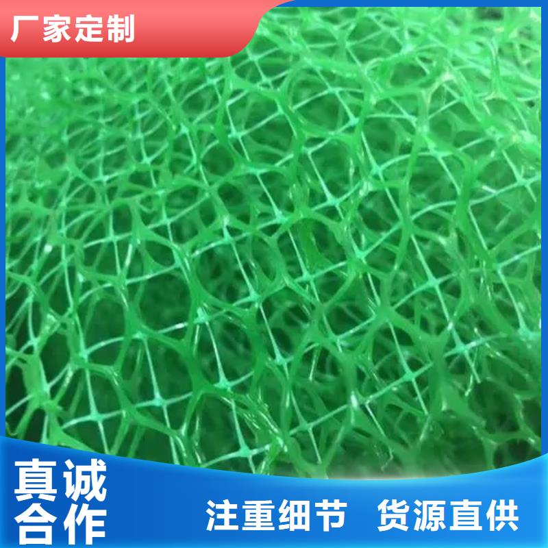 三维植被网植草格真实拍摄品质可靠