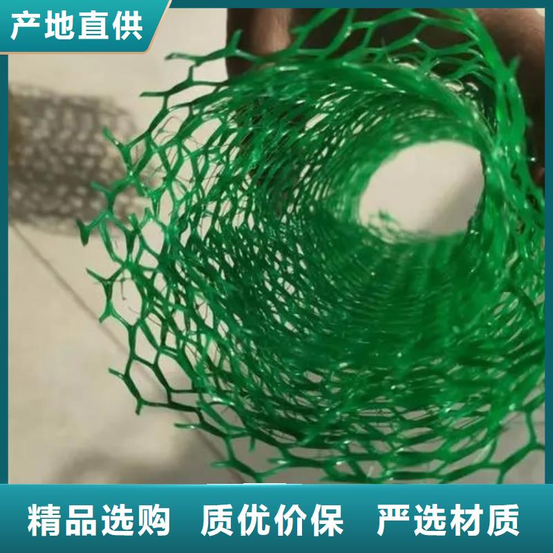 三维植被网_车库虹吸排水系统货源直销
