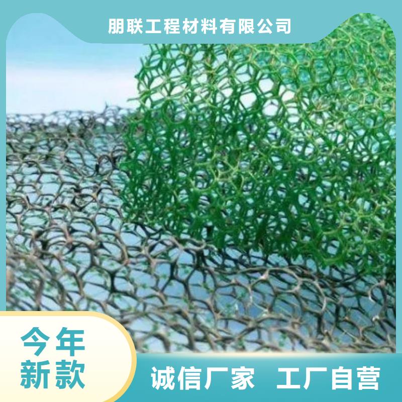 三维植被网,植草格多种优势放心选择