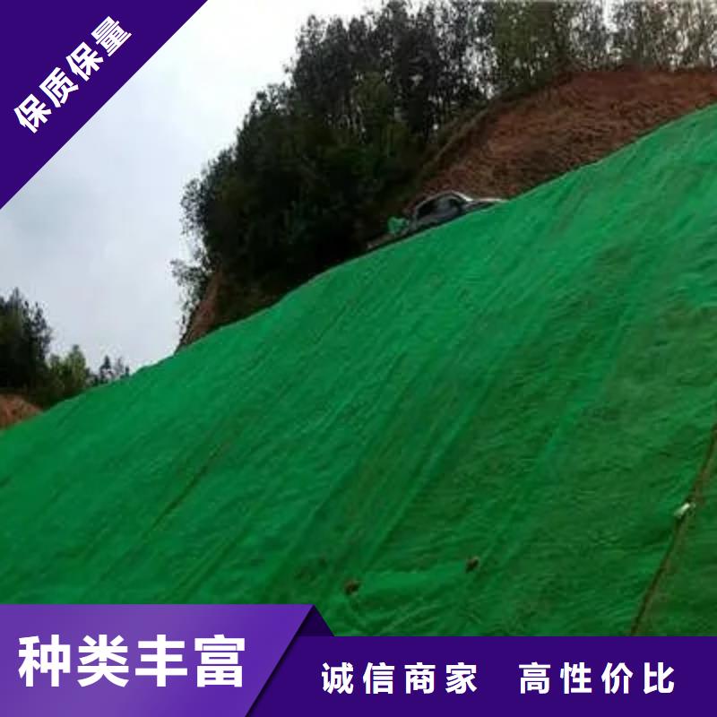 【 三维植被网排水板厂家直营】覆盖范围含|泰顺|苍南|宁波|绍兴|衢州|湖州|丽水|台州|舟山