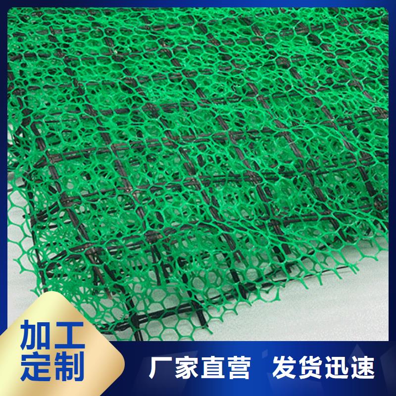 三维植被网水泥化粪池追求细节品质