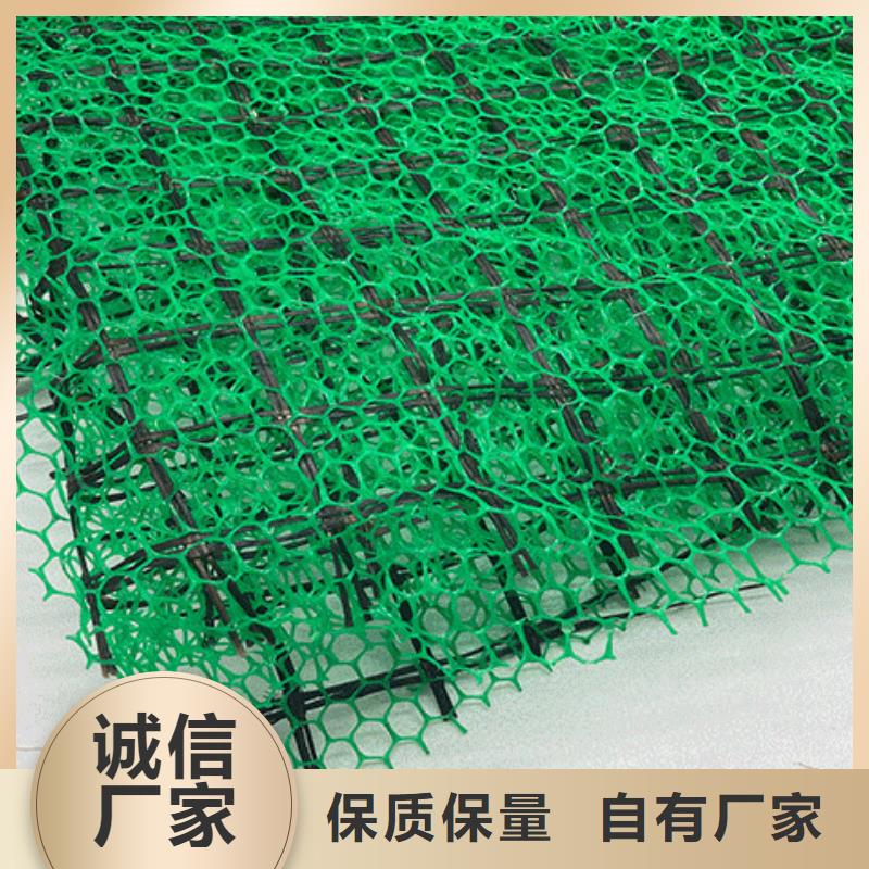 【三维植被网车库虹吸排水系统一件也发货】