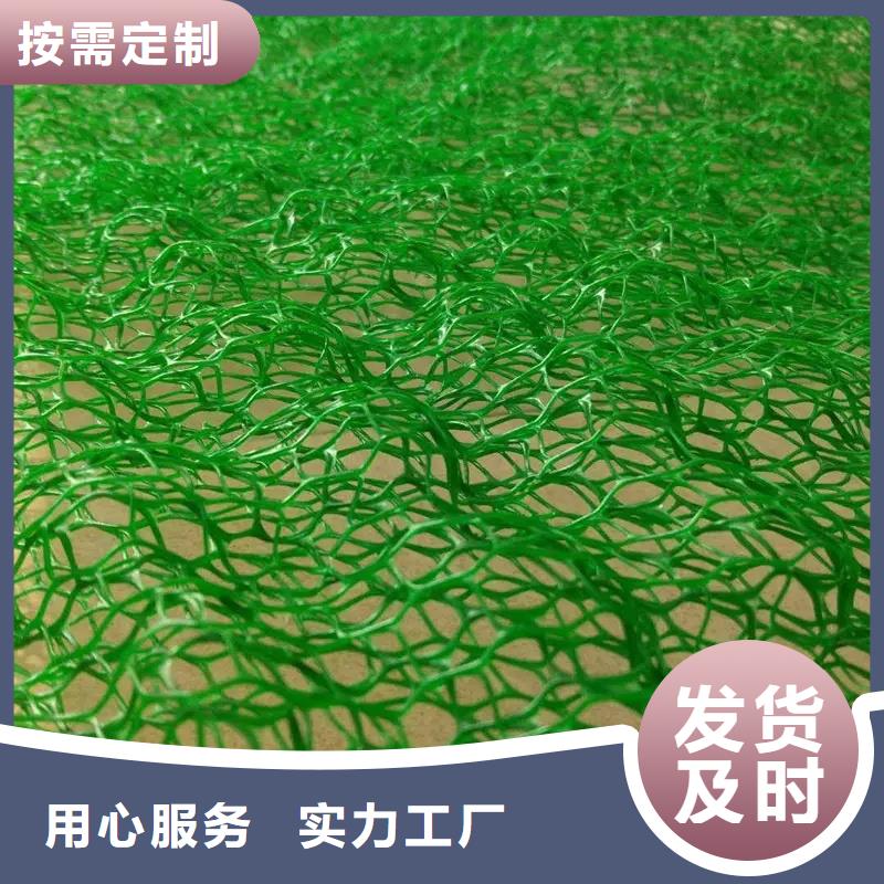 三维植被网_植草格细节之处更加用心