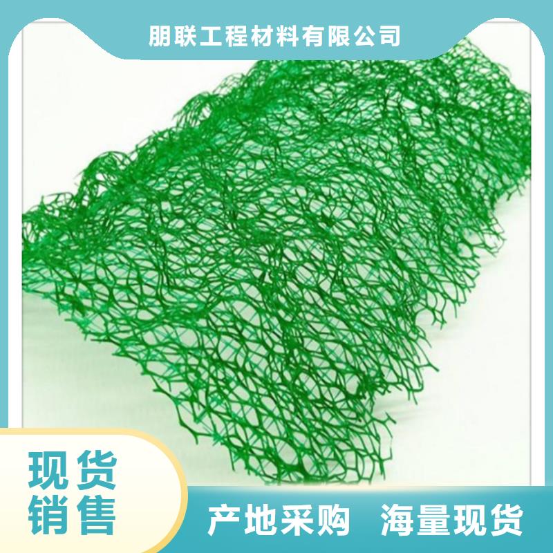 三维植被网【排水板】直销厂家