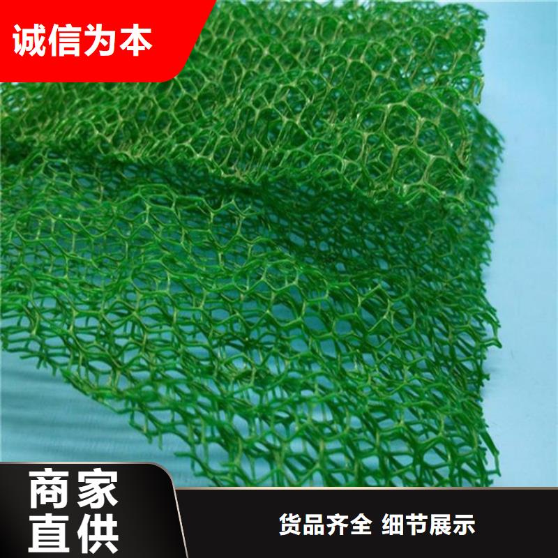 三维植被网植草格匠心打造
