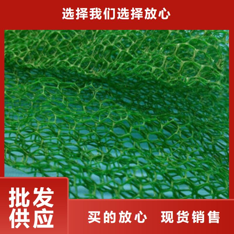 三维植被网,植草格保障
