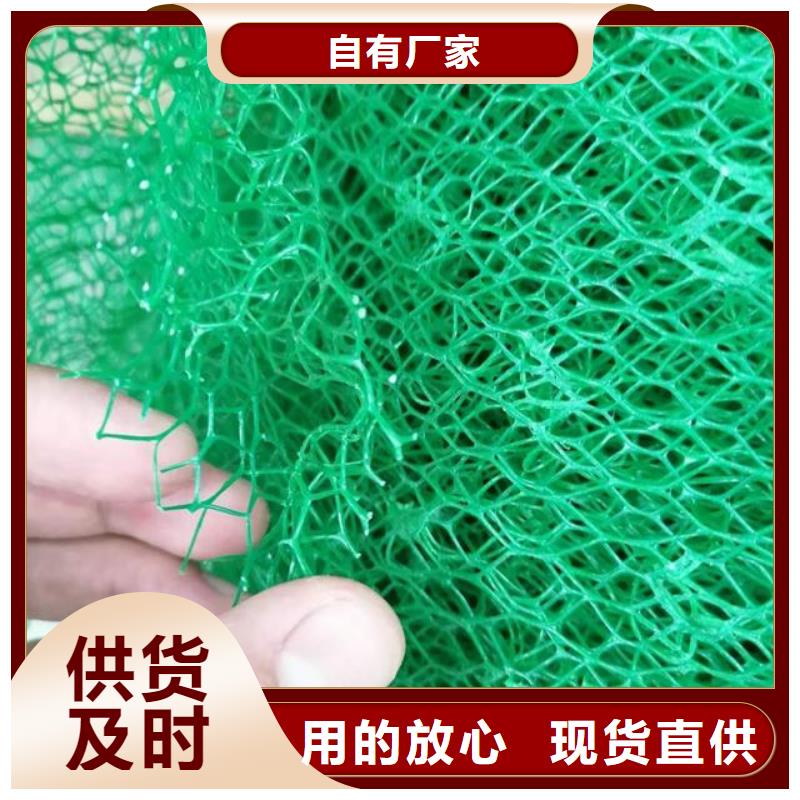 三维植被网-水泥化粪池多种规格供您选择