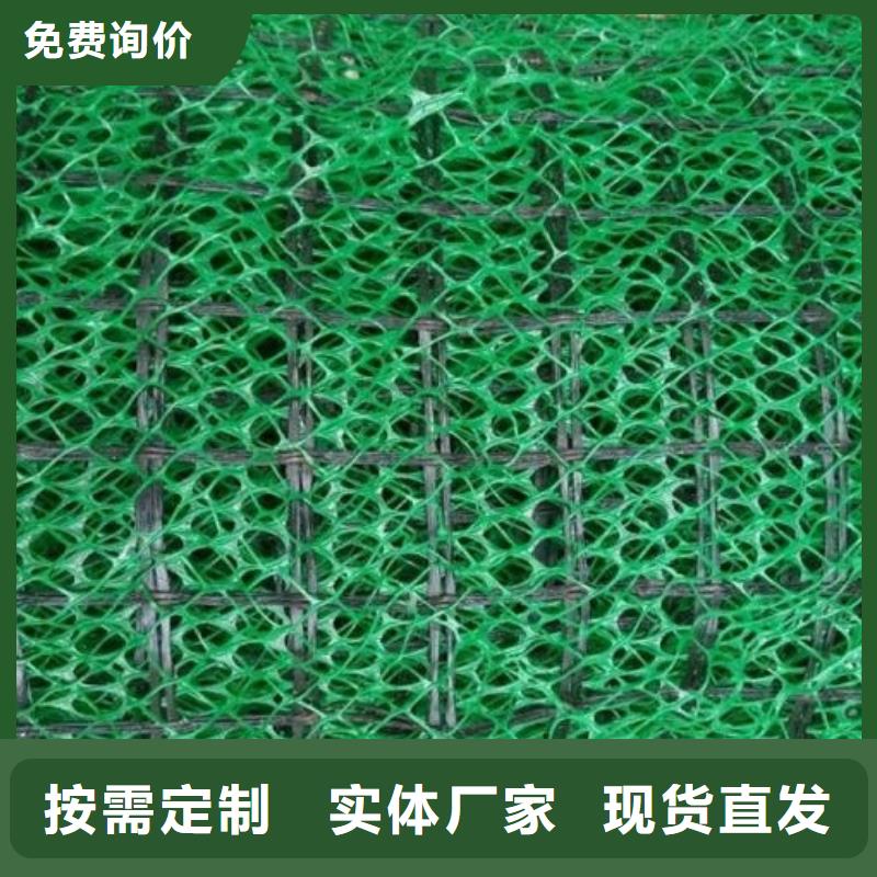 三维植被网化粪池水泥质量无忧
