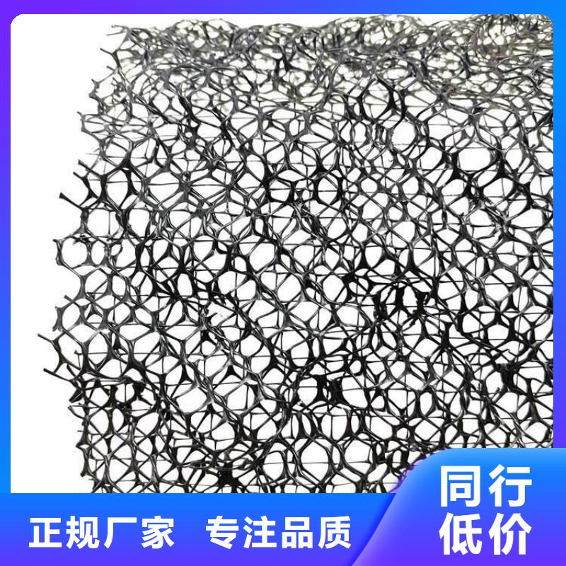 三维植被网植草格专业设计