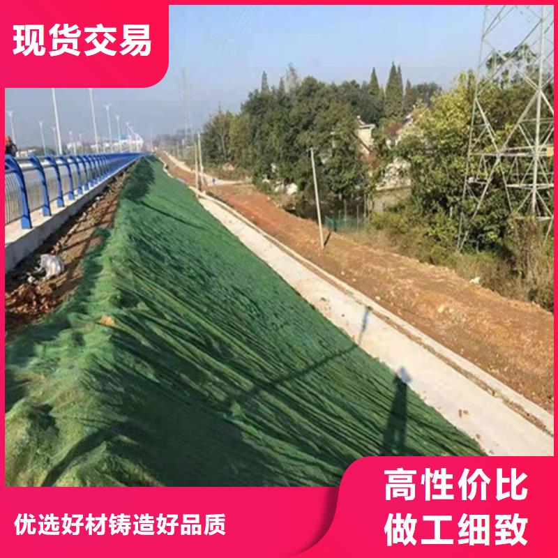 三维植被网车库虹吸排水系统重信誉厂家