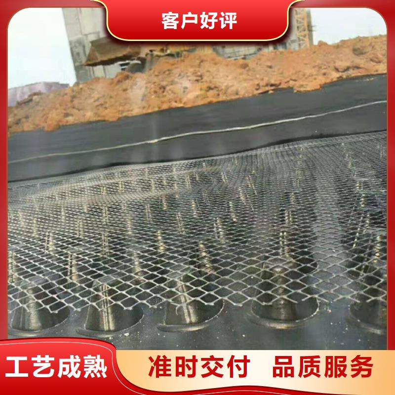 排水板土工膜支持大小批量采购