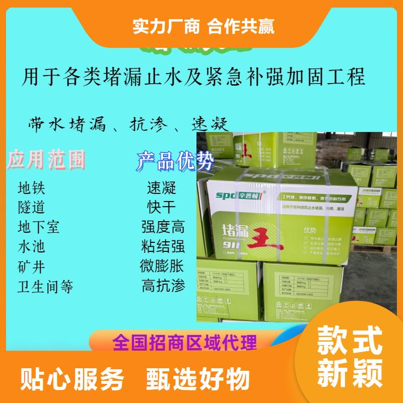 速凝堵漏王生产