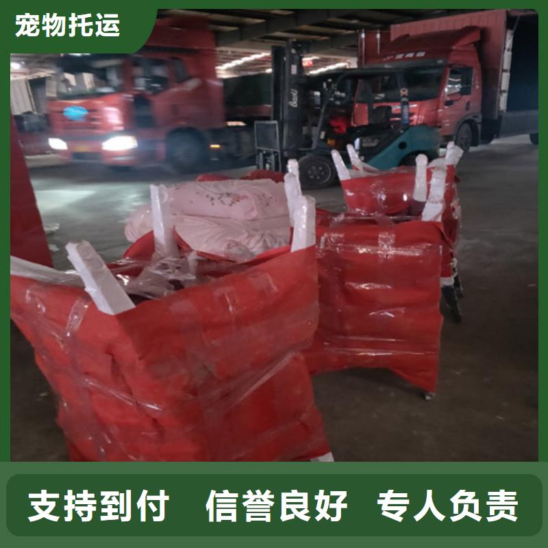 上海到韶关物流公司