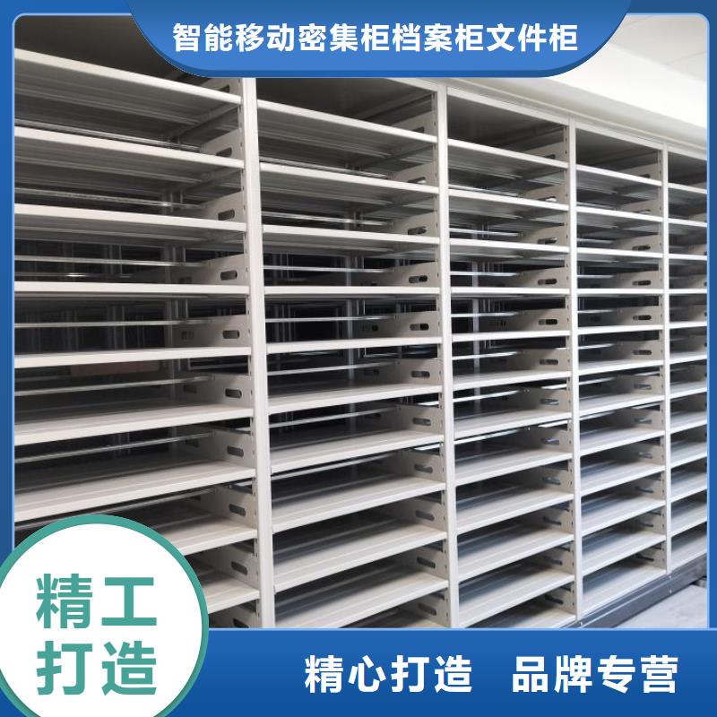 创造致远【鑫康】挂网式密集架