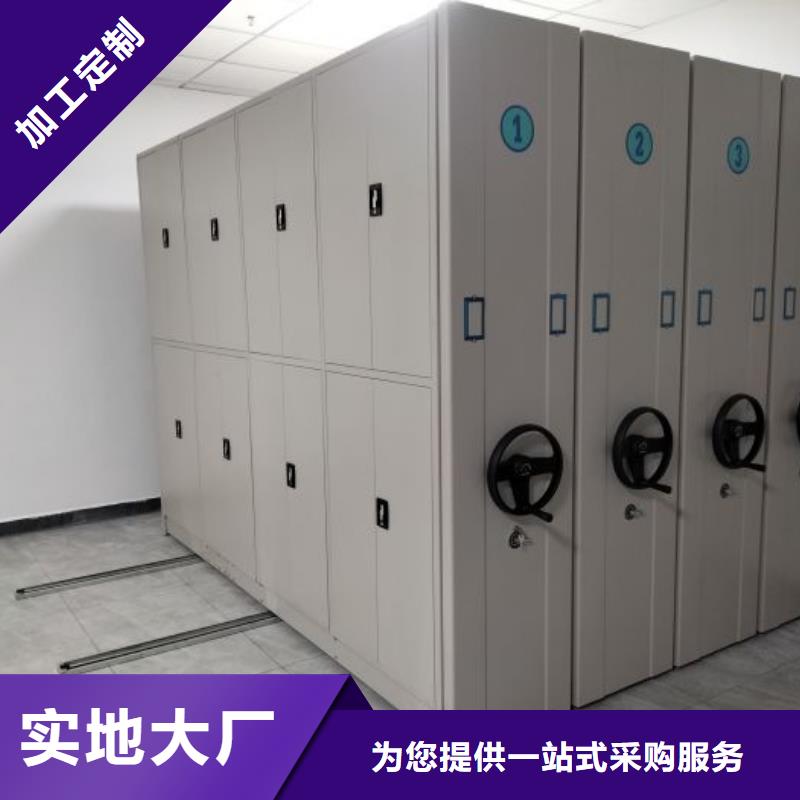 哪里好【凯美】双柱密集架