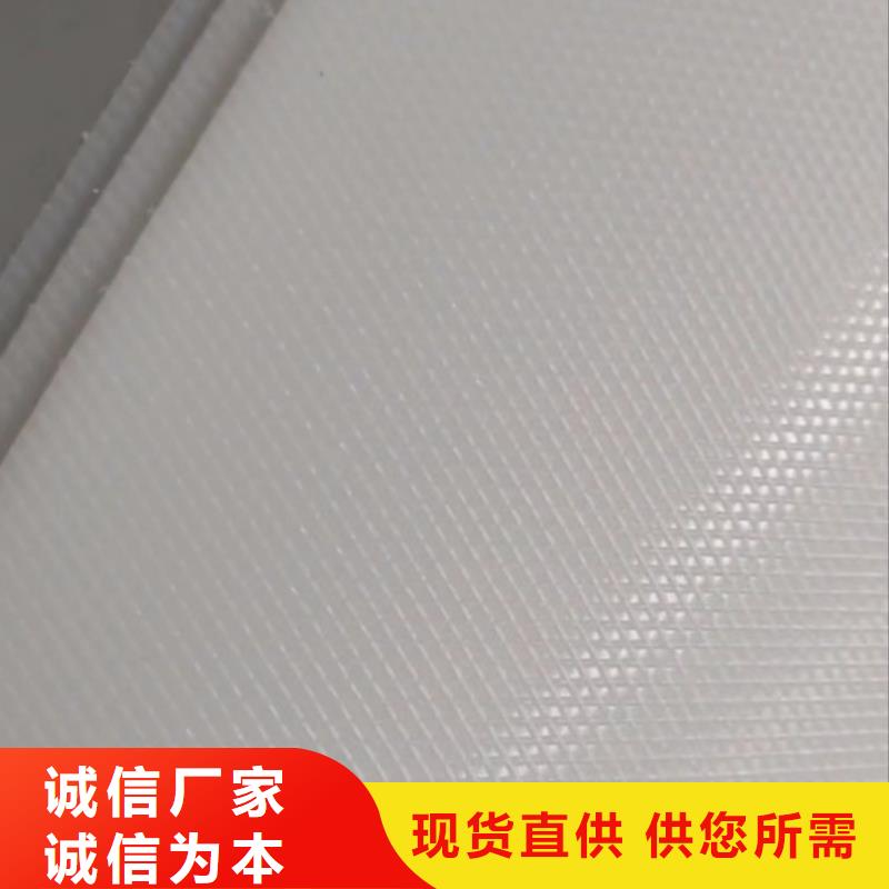 叉车推拉器塑料滑板-尼龙轮品牌大厂家