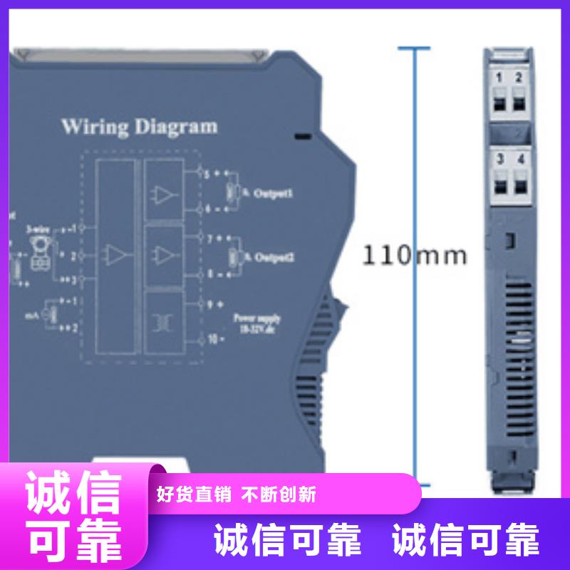 PDS843LH-1CS23-A1DE/G61就选索正自动化仪表