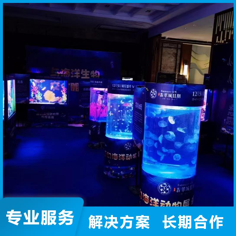 规格全的企鹅出租品牌厂家