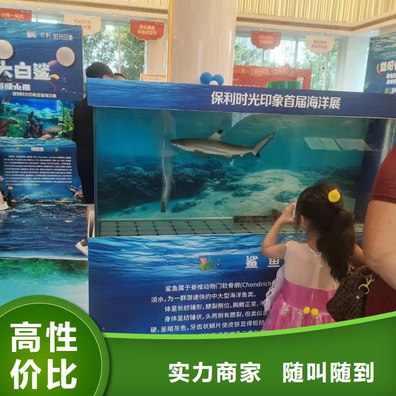 企鹅展览厂家-生产销售一体