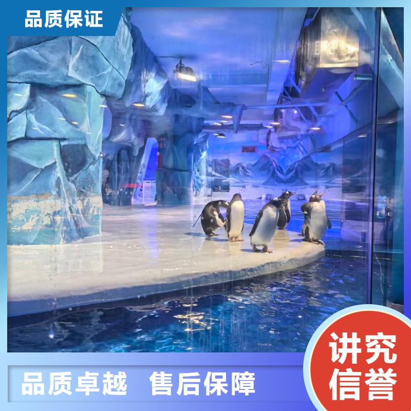 质优价廉的企鹅展览基地