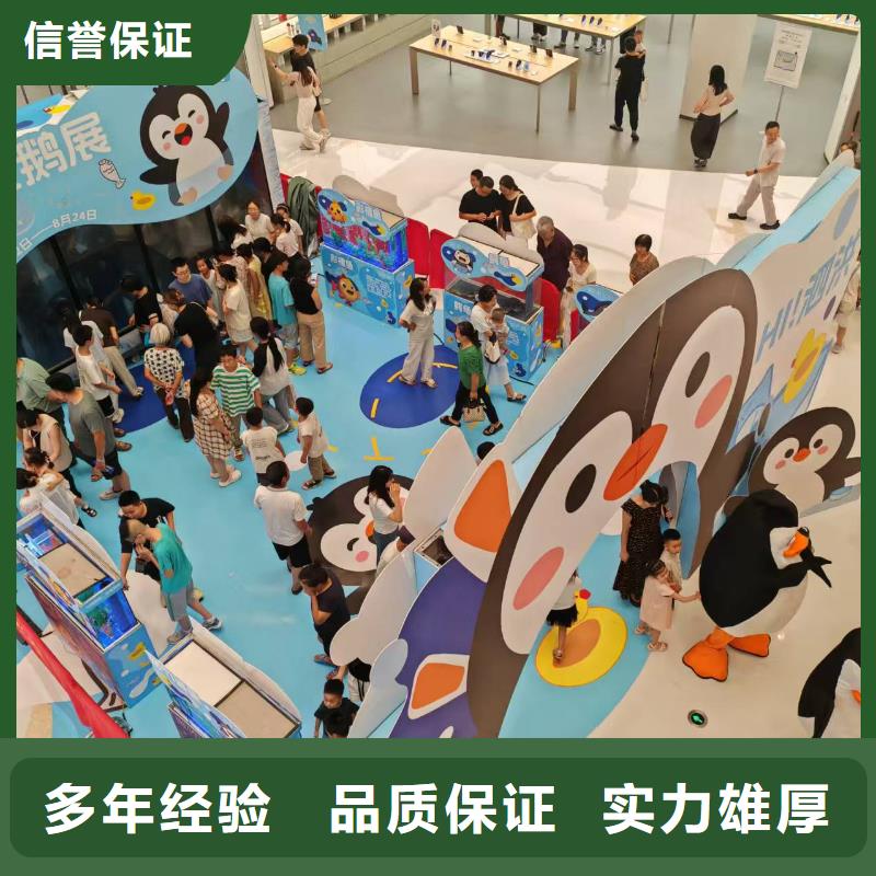 企鹅出租咨询享优惠