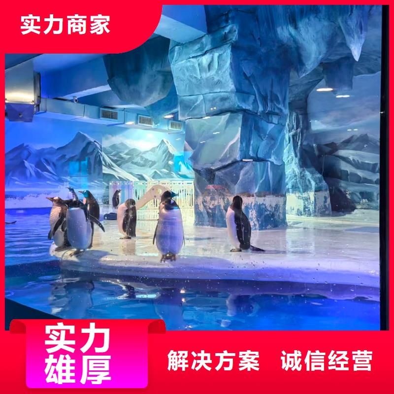 企鹅展览厂家-生产销售一体