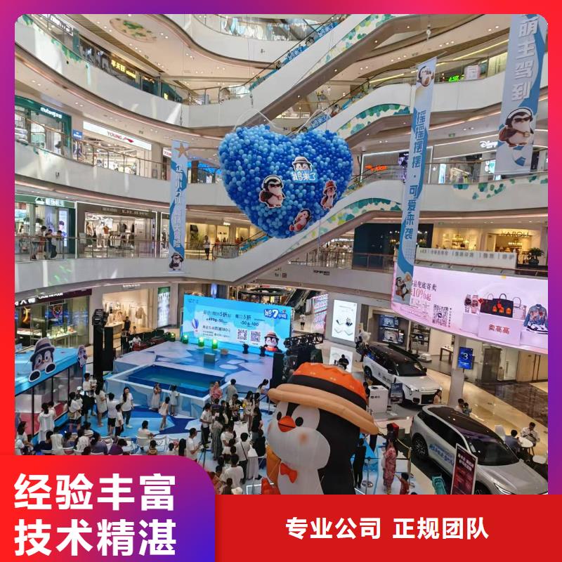 规格全的企鹅出租品牌厂家