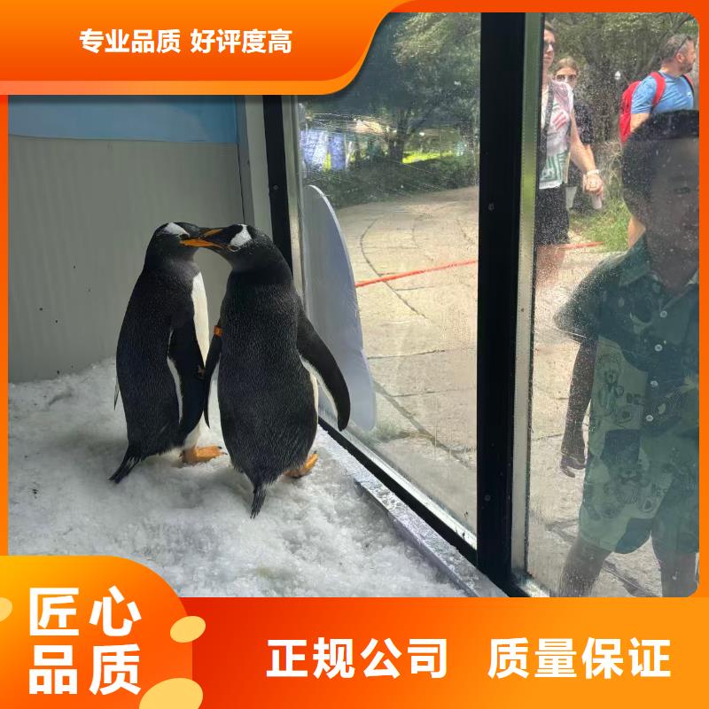 企鹅展览厂家-生产销售一体