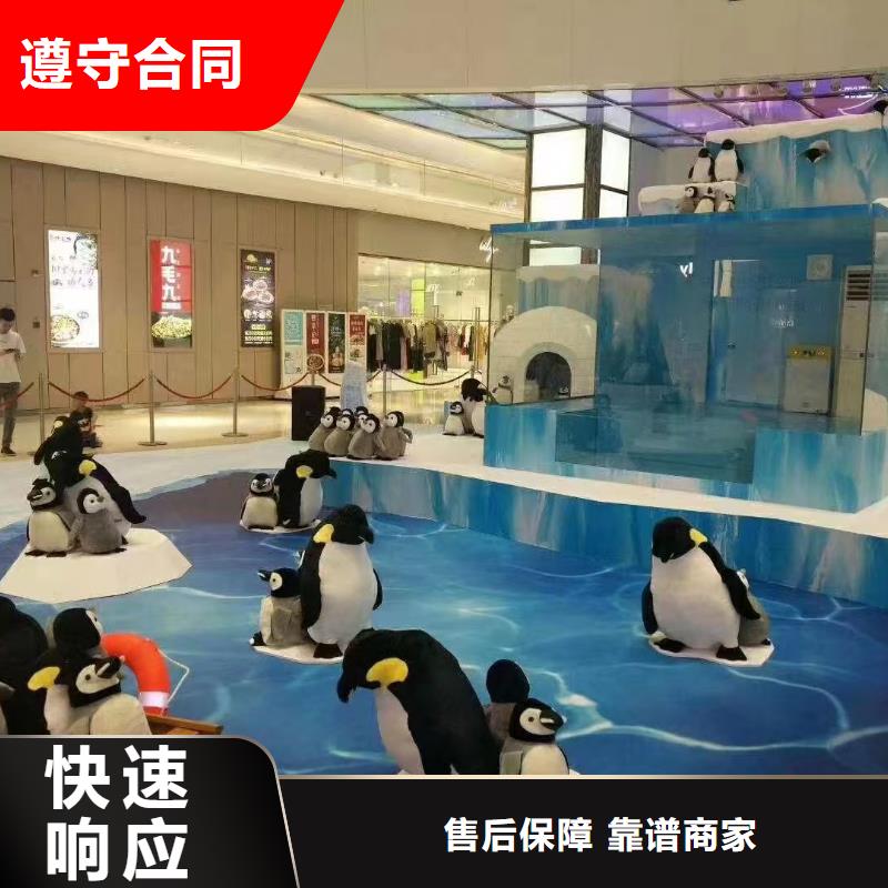 企鹅出租好货不怕比