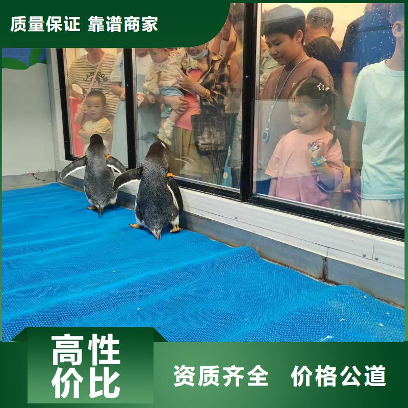 欢迎访问#企鹅展览#实体厂家