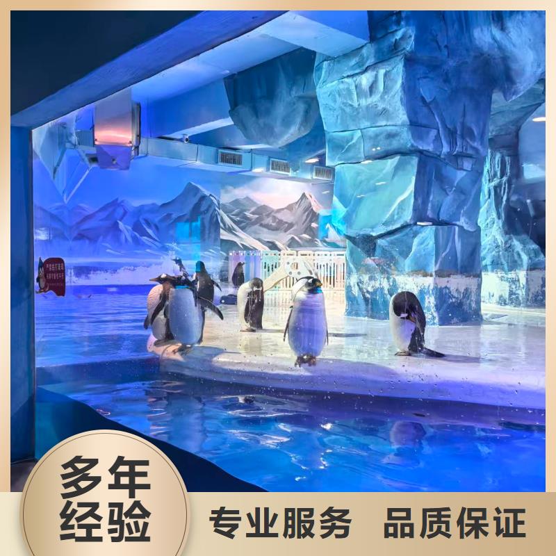 企鹅展览厂家-生产销售一体