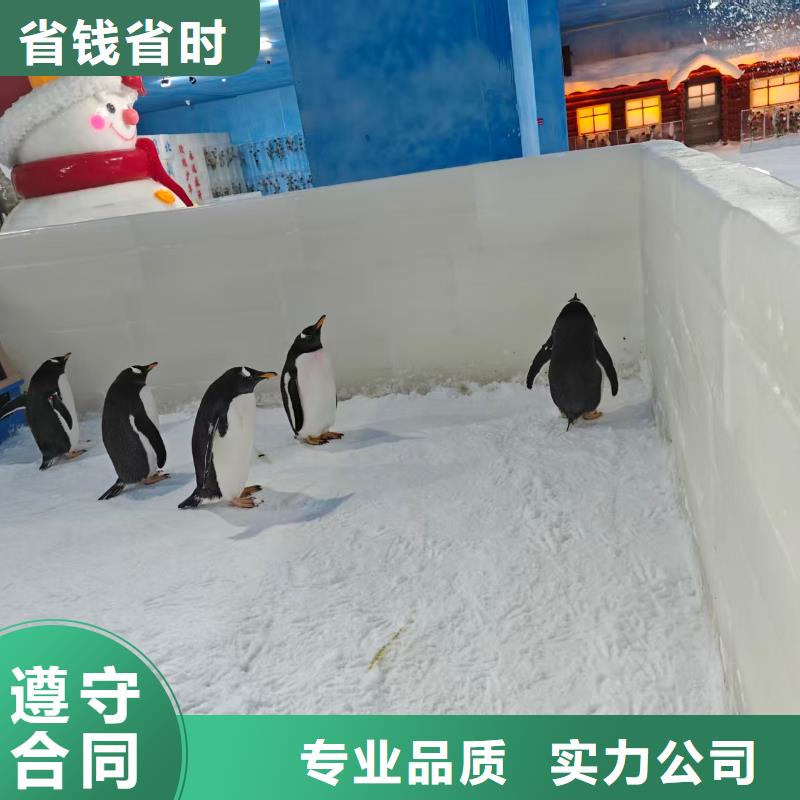 企鹅展览厂家-生产销售一体