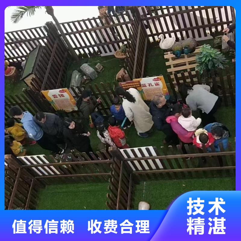 马戏团/羊驼-表演动物出租好评度高