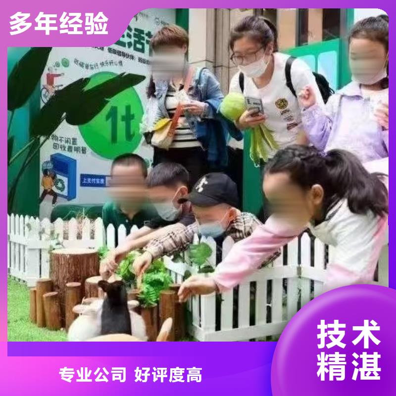 马戏团/羊驼商场马戏表演出租专业可靠