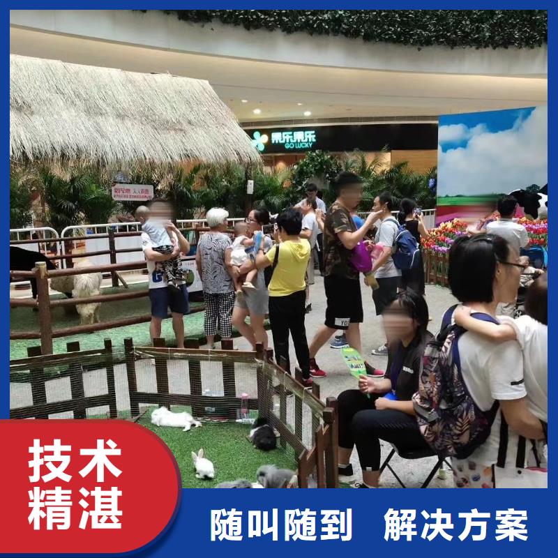 马戏团/羊驼,鹦鹉表演租赁实力商家